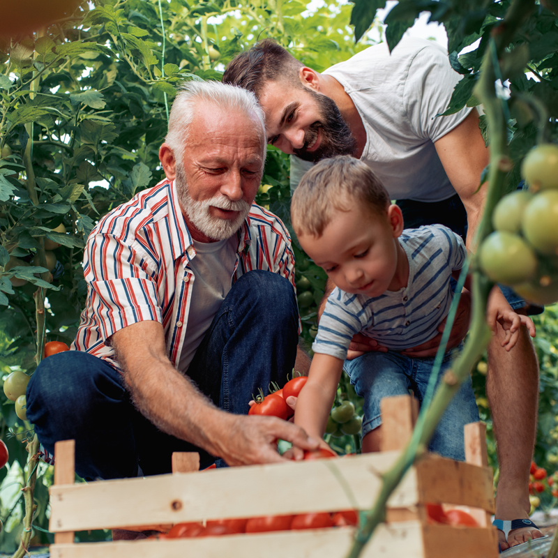 Pittsfield, IL insurance coverage with MidState Insurance Agency, Inc.